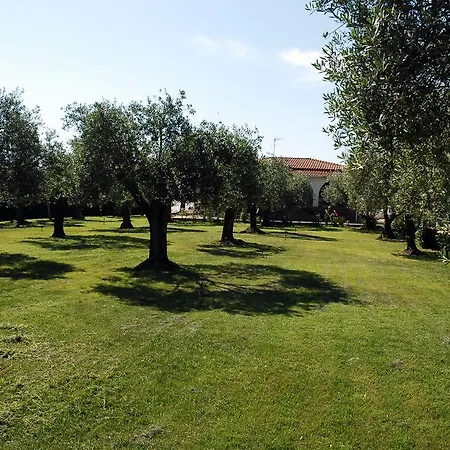 Eden Bed & Breakfast Alghero