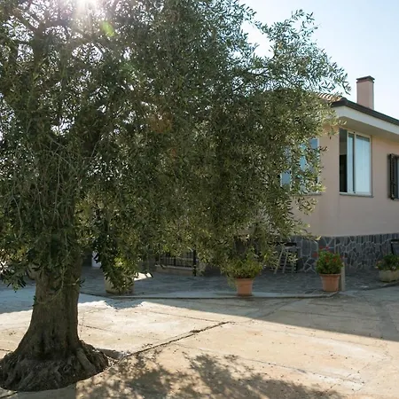 Eden Bed & Breakfast