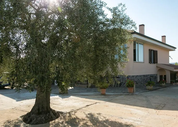 Eden Bed & Breakfast